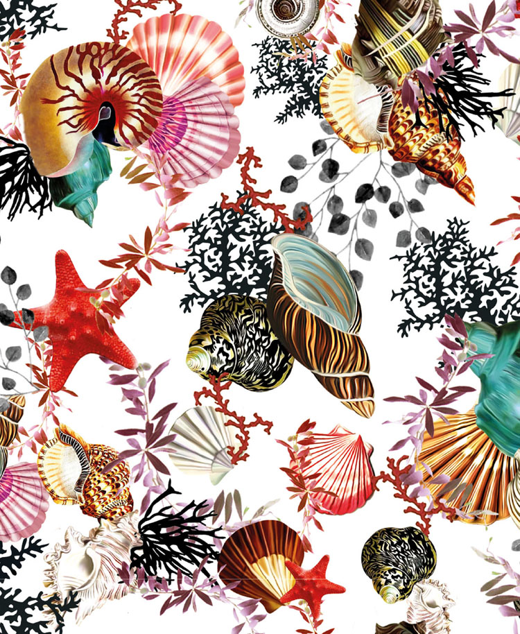 Museums &amp; Galleries - Seashells Blank Card #MKG015