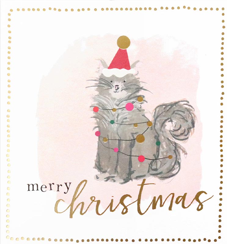 The Christmas cat