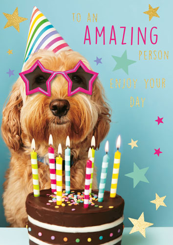 Ling Design - Dog and Cake Birthday Card #LNQ0444