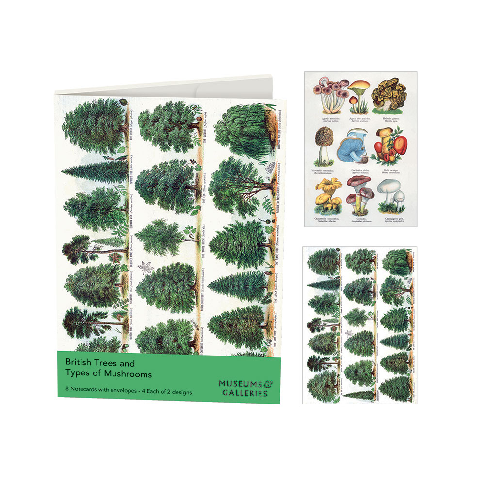 museums-galleries-british-trees-types-of-mushrooms-rectangle