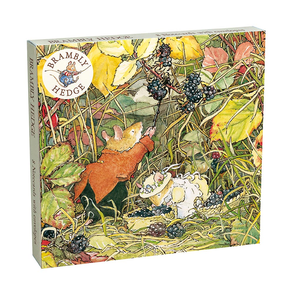 Museums & Galleries - Brambly Hedge Notecard Wallet #NCW450094