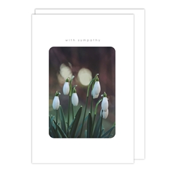 Lily of the Valley Symathy Card 