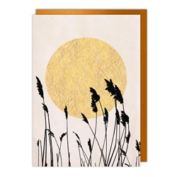 Sun Wheat Blank Card 