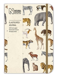 Natural History Museum Safari Lined Journals journals and notebooks