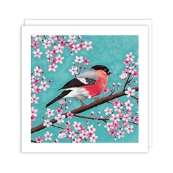 Bullfinch Blossom Blank Card 
