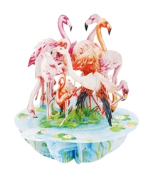 Flamingos Blank Card 