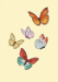 3D Butterflies Blank Greeting Card - KP027