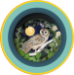 3D Teacup Owl Popup Greeting Card - TEA007