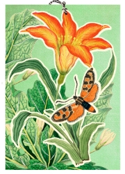 3D Tiger Lily Blank Card 