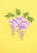3D Wisteria Blank Greeting Card - KP057