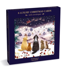 A Winters Tail Boxed Cards 