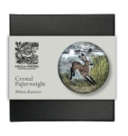 Amanda Harding Young Hare Crystal Paperweight 