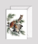 Aud Screech Owl Blank Greeting Card 