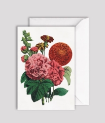 Autumn Dahlia Blank Greeting Card 