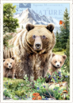 Bears Postcard 