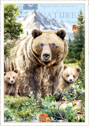 Bears Postcard 