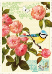Blue Bird Postcard 
