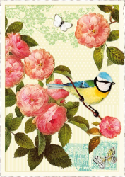 Blue Bird Postcard 