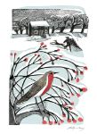 Bringing Home Tree Boxed Cards 