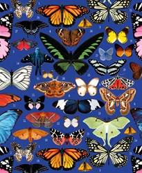 Butterflies Blank Card 