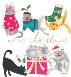 Christmas Cats Christmas Card 