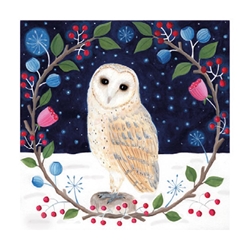 Christmas Owl Christmas Boxed Cards Christmas