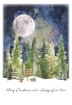 Christmas Trees Christmas Card 