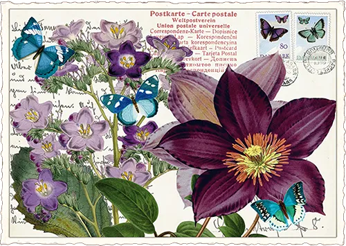Clematis Postcard 