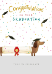 Congrats Dachshund Graduation Greeting Card 