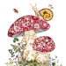 Cottage Garden Boxed Notecards - MGETE130