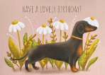 Dachshund Daisies Birthday Card 
