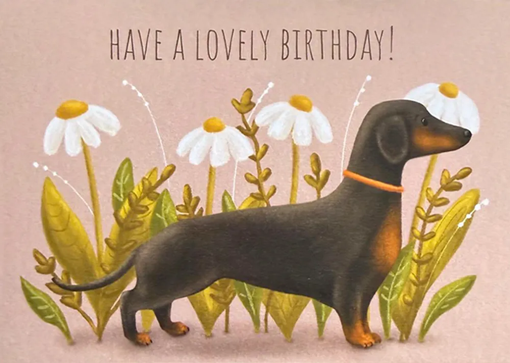 Dachshund Daisies Birthday Card 