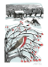 Deep Midwinter Boxed Cards - XBT476