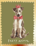 Dog Party Hat Birthday Greeting Card 