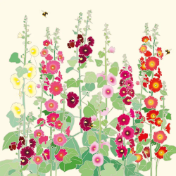 Flowers Bloom Boxed Notecards 