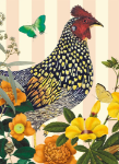 Grey Junglefowl Blank Card 