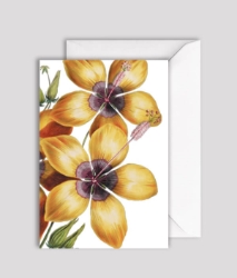 Hibiscus Blank Greeting Card 