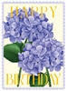 Hydrangeas Birthday Card 