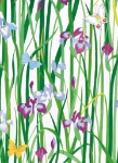 Iris & Butterfly Blank Card 