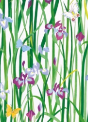 Iris & Butterfly Blank Card 