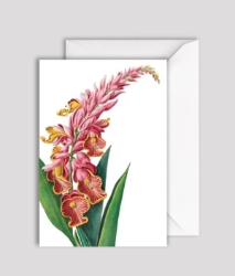 La Lavandine Blank Greeting Card 