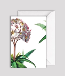 Le Plumeri Blank Greeting Card 