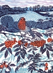 Midwinter Robin Boxed Cards 