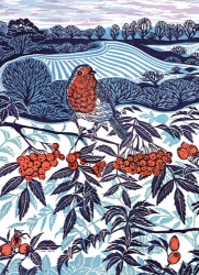 Midwinter Robin Boxed Cards 