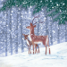 Morning Snow Boxed Cards - XET465
