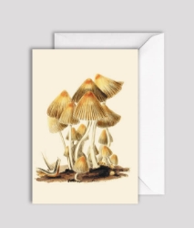 Mushroom Yellow Blank Greeting Card 