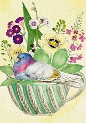 Pigeon in Teacup Blank Card 