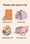 Pusheen Want To Be Blank Greeting Card 