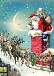 Santa on Roof Christmas Card 