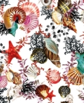 Seashells Blank Card 